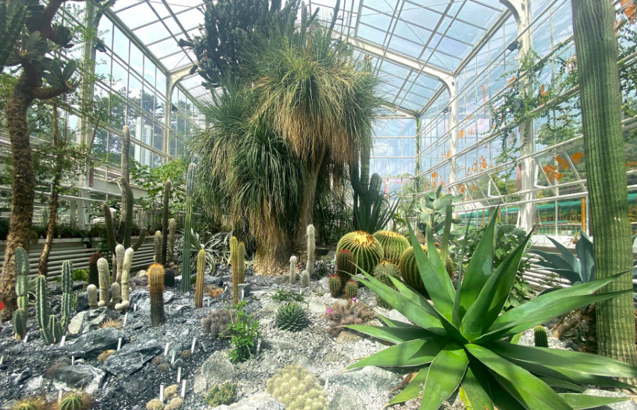 Botanical Garden, Zürich, Switzerland, Switzerland